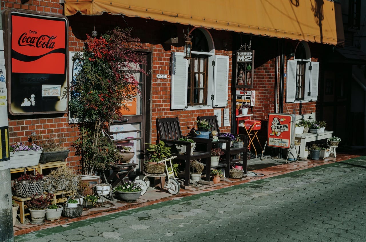 Превью Fuji 2024